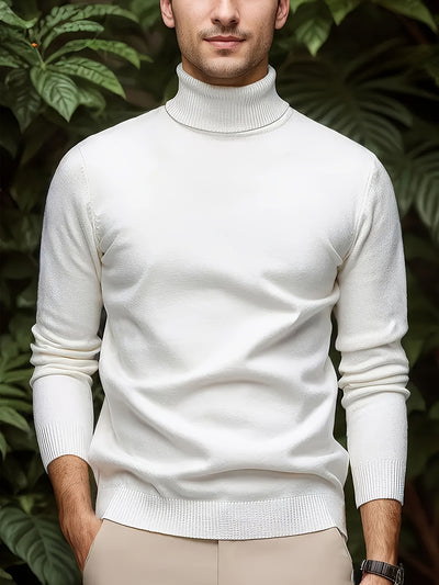 Men's Solid Color Versatile Soft Viscose Turtleneck Sweater