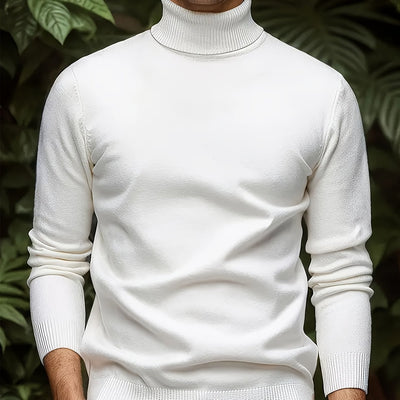 Men's Solid Color Versatile Soft Viscose Turtleneck Sweater